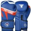 Fistrage USA Boxing All FISTRAGE BOXING GLOVES LEATHER SPARRING TRAINING MMA, MUAY THAI GLOVES