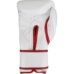 Cleto Reyes Hook And Loop Closure Training Gloves