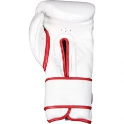 Cleto Reyes Hook And Loop Closure Training Gloves