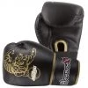 Hayabusa Muay Thai 10oz Gloves