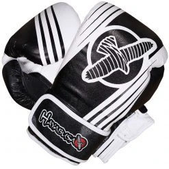 Hayabusa Ikusa Recast 16oz Gloves