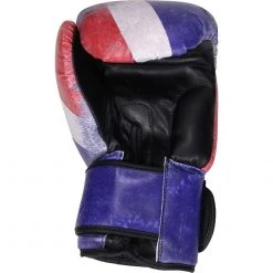 Revgear Thai Destroyer Boxing Gloves