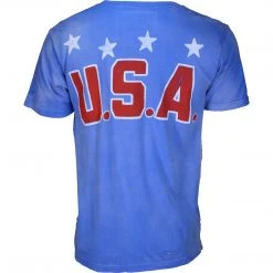 Roots Of Fight Tyson Catskill NY Sun Faded