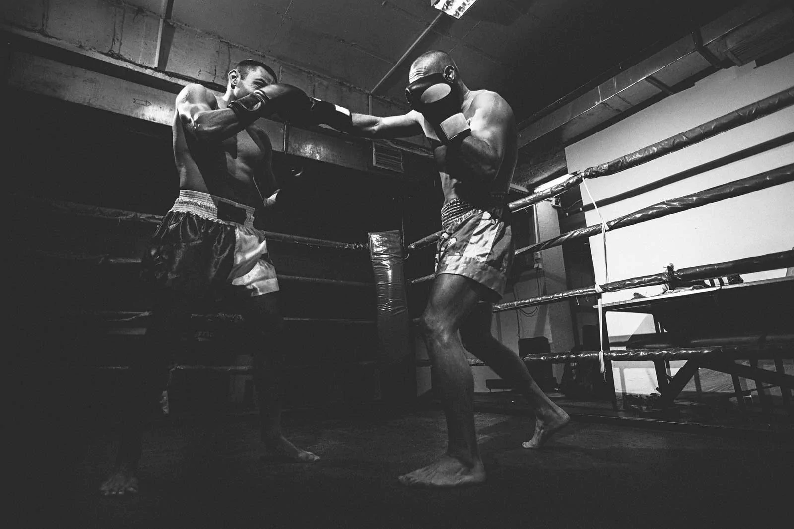 Ventury Boxing Shop -Ventury Boxing Shop