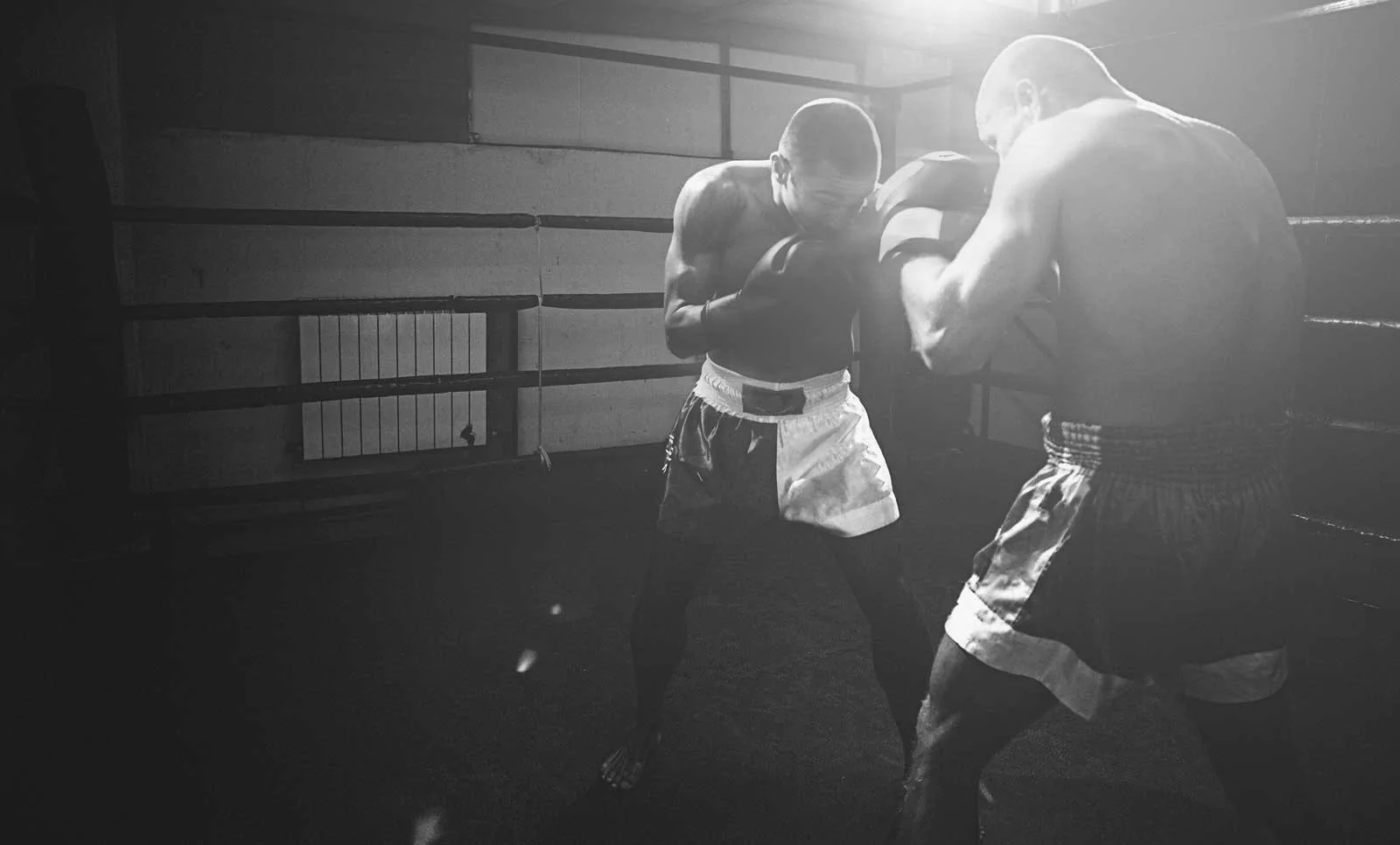 Ventury Boxing Shop -Ventury Boxing Shop